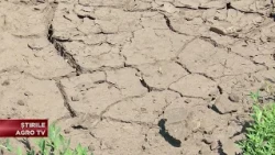 Drought stalls fall farm work 09/28/2026