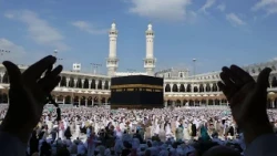 آپ پر رشتہ داروں کی کیا حقوق ہیں دیکھیں اس ویڈیو کو اتنا شئیر کرو کہ دنیا میں سب کو مل جائے