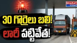 🚨 Palasa: Horrific accident.. 30 sheep dead...| BT