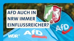 Erfolgreichste Partei in Sachsen-Anhalt: Könnte die AfD auch in NRW Wahlen gewinnen? | Westpol | WDR