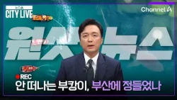 [Kim Jong-seok's One-Shot News] Won't Leave Busan, Has He Grown Fond of the City? / News A City L...
