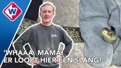 Tom vindt slang in zijn voortuin, wat moet je dan doen?