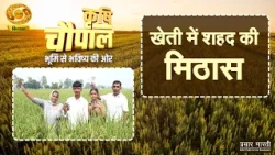 कृषि चौपाल | खेती में शहद की मिठास | मधुमक्खी पालन से बढ़ाएं किसान की आय | DD Kisan