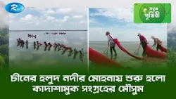 চীনের হলুদ নদীর মোহনায় শুরু হলো কাদাশামুক সংগ্রহের মৌসুম | Sobuj Prithibe Clips | Rtv