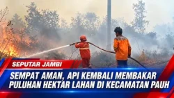 ONCE SAFE, FIRE REIGNITES AND BURNS DOZENS OF HECTARES OF LAND IN PAUH DISTRICT