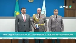 Rescuers who fought forest fire receive awards