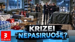 Pirmos dienos – savo jėgomis, o vėliau prasideda valstybės sistemos išbandymas