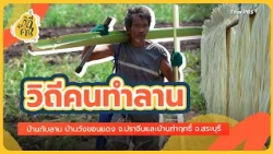 The Way of the Lan Palm Crafters: Ban Thap Lan, Ban Wang Khon Daeng in Prachin Buri, and Ban Tha ...