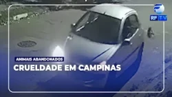 ON AIR - Abandoned kitten in Campinas gets scared and dies