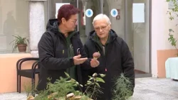 48. gobarska razstava v Novem mestu