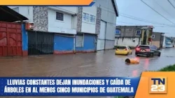 Constant rains cause flooding and fallen trees in at least five municipalities in Guatemala