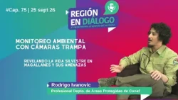 Region in Dialogue: Revealing Wildlife