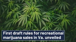 Here's a look at the draft rules for retail marijuana sales in Virginia