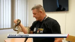 Híradó – 2026.10.02. – Péntek - Sopron TV