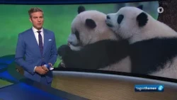 tagesthemen 23:15 Uhr, 24.09.2026