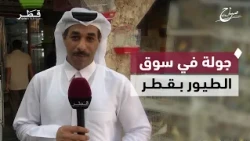 جولة في سوق الطيور للتعرّف على أبرز الأنواع المعروضة | صباح الدوحة