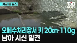 오폐수처리장서 키 20㎝·110g 남아 시신 발견｜ TJB 대전·세종·충남뉴스