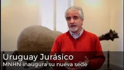 Informe Portal - Uruguay Jurásico