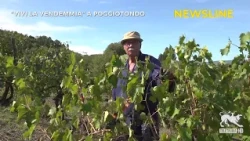 Newsline 09/28/2026