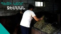 Հարսիս թողում չեմ գոմը մտնի,նա պտի թագուհու պես ապրի,պլպլա Ջեմմայի դրախտը