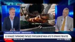 Pre news 23-09-26 : Δημήτρης Τσιάνης