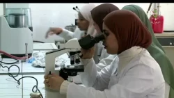 دخول مهني | تخصصات جديدة تعزز منظومة التكوين والتعليم المهنيين