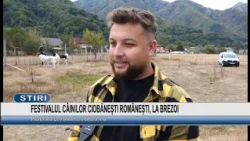 ROMANIAN SHEPHERD DOG FESTIVAL IN BREZOI