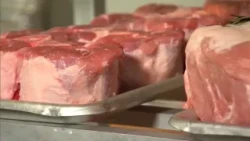 Recalled meat and Alfredo pasta pose food safety concerns for consumers