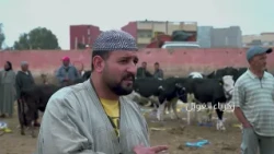 من سوق لسوق : ﺳﻮﻕ بلفاع