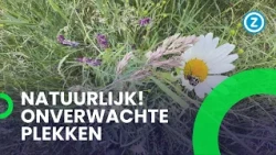 Frédérique bezoekt ONVERWACHTE NATUURPLEKKEN in Natuurlijk!
