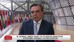 Σχοινάς στο Συμβούλιο Γεωργίας στις Βρυξέλλες: Ευρωπαϊκή άμεση δράση για το κόστος παραγωγής