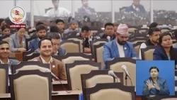 मा. निशा मेहता /स्वास्थ्य विज्ञान प्रतिष्ठान /  दफावार छलफलमा उठेका प्रश्नहरुको जवाफ दिनुहुँदै