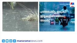 Kerala Rain: Rain returns to the state; Yellow Alert in two districts today | Yellow Alert