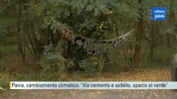 Pavia, climate change in city council: "Out with asphalt and concrete, make room for green space"