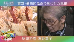 八峰町出身の女将が営む秋田料理店「酒呑童子」へ❤「土曜の情報缶詰どっかん！」♪東京こまち supported by SHOWROOM♪2026年9月12日放送