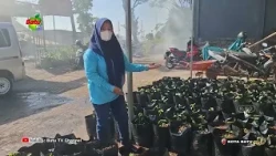 COMPOST HOUSE, OPTIMIZING ORGANIC WASTE PROCESSING