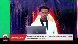 ‘’ Maashina Midhaan calleessuufi nyaata beelladaa qopheessun kalaqe." Dorgomaa Naanboon Daffaaruu