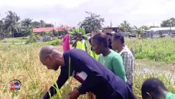 THE LAUNCH OF  LOWLAND RICE FARMING IN LIBERIA