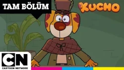 Fil Hakika 🐘 | KUCHO | TAM BÖLÜM | @cartoonnetworkturkiye