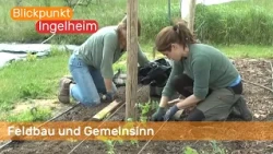 Feldbau und Gemeinsinn | Blickpunkt Ingelheim