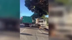 Abandoned RVs being bulldozed in South LA