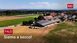 Drought in Switzerland: agriculture is on its knees | Falò | RSI