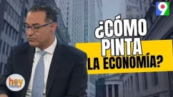 ¡Alerta! ¿Pinta bien la Economía Dominicana? Jaime Aristy Escuder / Economista | Hoy Mismo