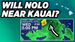Tracking Nolo: What to expect with this latest track