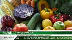 ЕВРОБАРОМЕТЪР: 95% от европейците смятат земеделието за важно