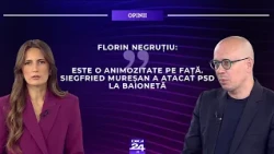 Florin Negruțiu: Este o animozitate pe față. Siegfried Mureșan a atacat PSD la baionetă