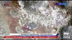 Daily News 09/25/2026