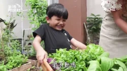 【生活地球村】 小小菜園 種出自給的生活 20260920