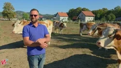 Poljoprivredom se bavi 25 godina: "Kren'o sam sa jednom ovcom"