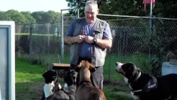 Rhenen dog training school looking for new location